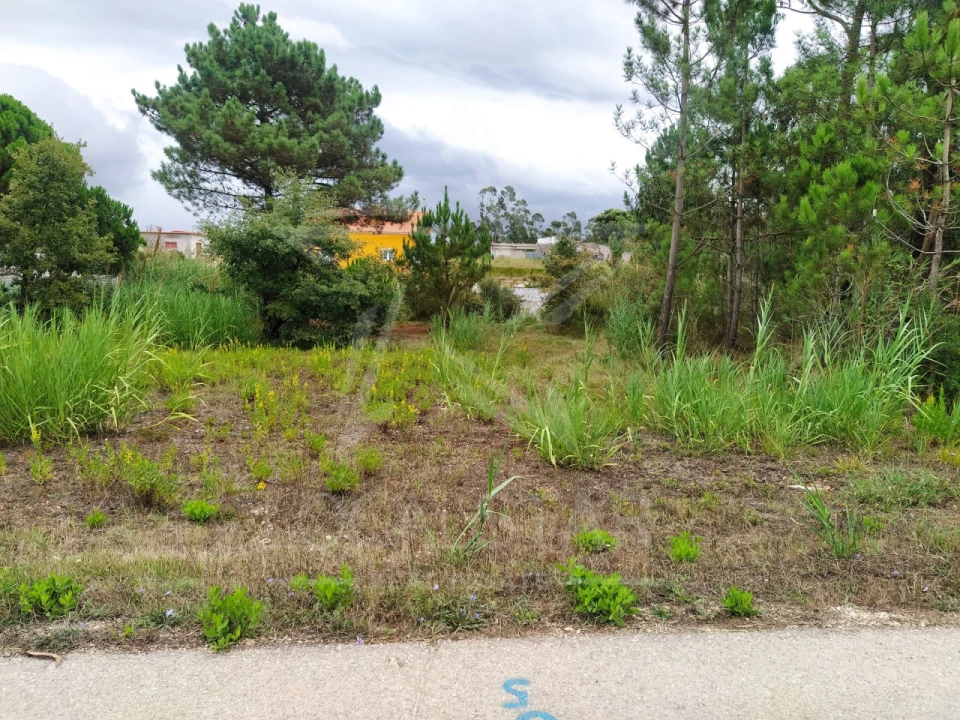 Terreno para Venda em Nossa Senhora do Pópulo, Coto e São Gregório Foto 1