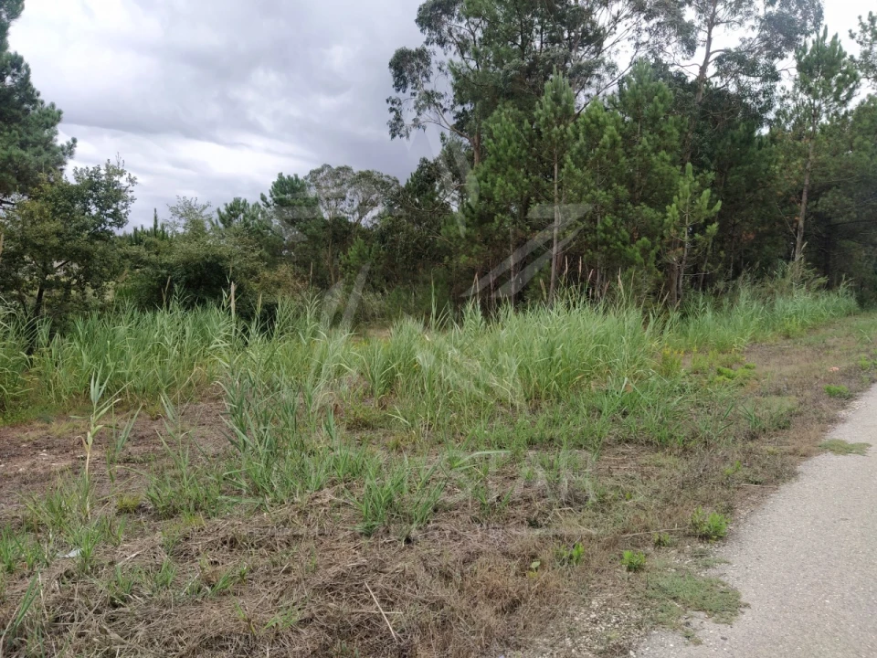 Terreno para Venda em Nossa Senhora do Pópulo, Coto e São Gregório Foto 5