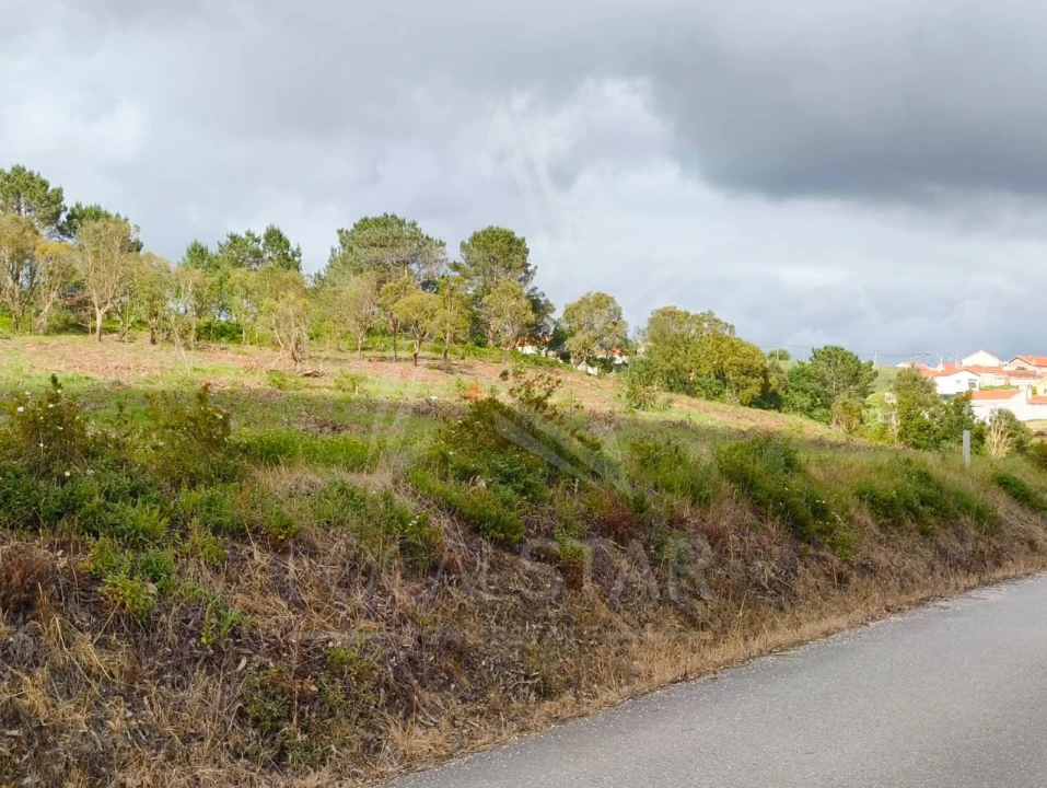 Terreno para Venda em Salir de Matos Foto 5