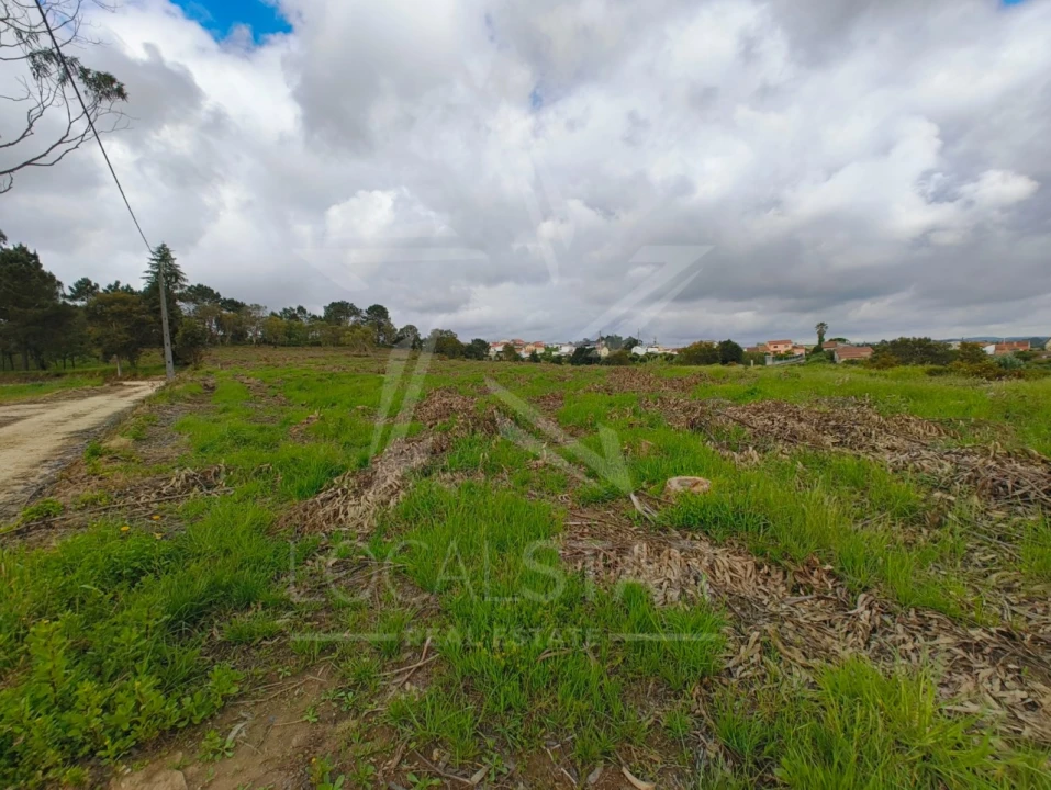 Terreno para Venda em Salir de Matos Foto 10