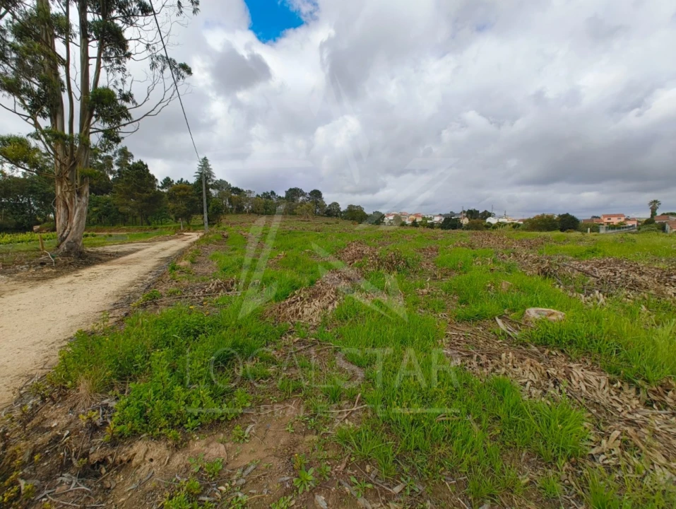 Terreno para Venda em Salir de Matos Foto 15