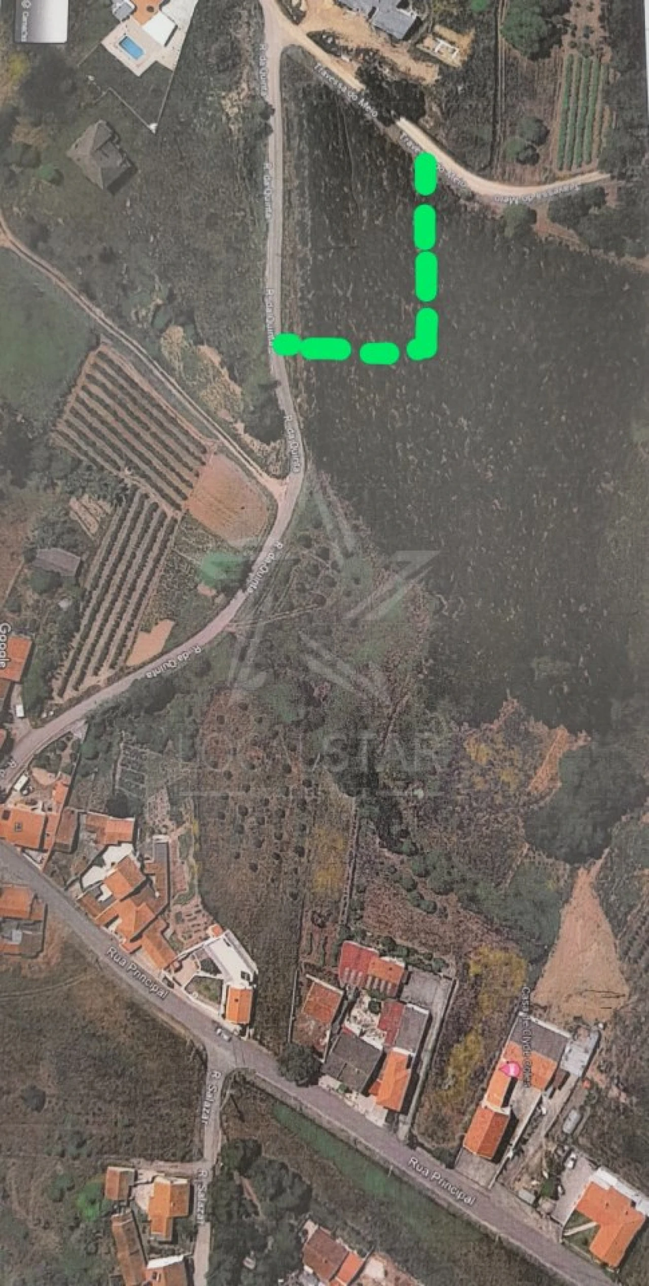 Terreno para Venda em Salir de Matos Foto 21