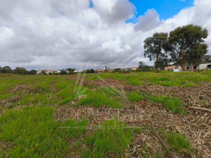 Terreno para Venda em Salir de Matos Foto 1