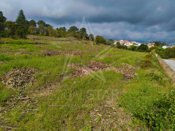 Terreno para Venda em Salir de Matos Foto 2