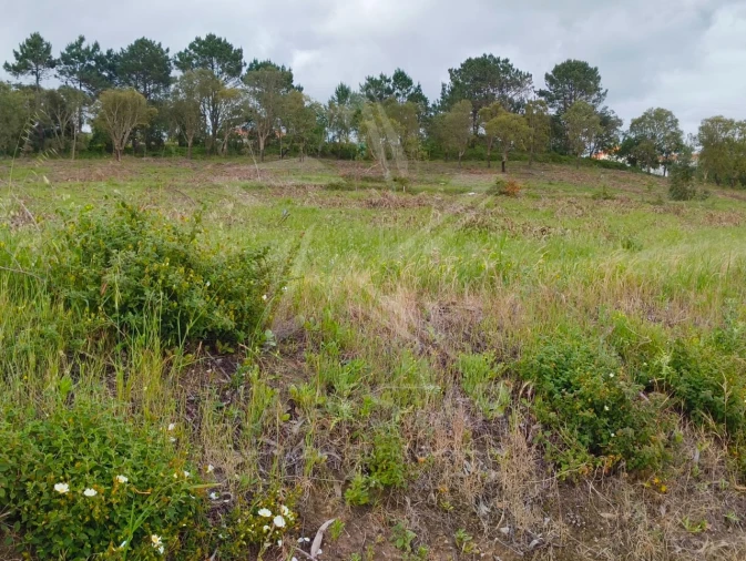 Terreno para Venda em Salir de Matos Foto 4