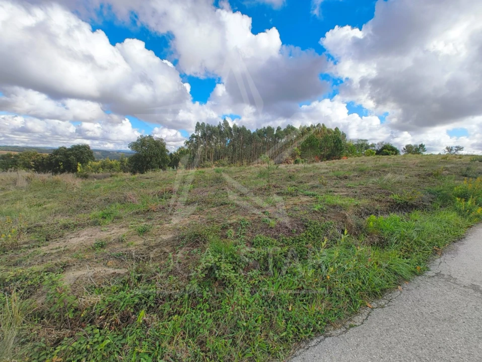 Terreno para Venda em Nossa Senhora do Pópulo, Coto e São Gregório Foto 8