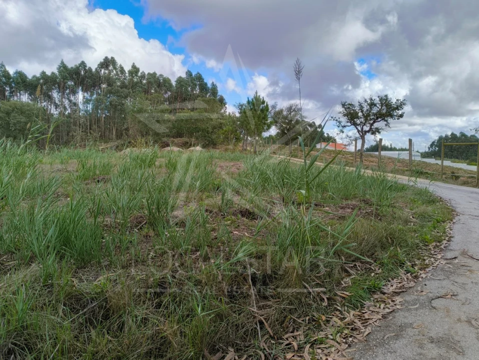 Terreno para Venda em Nossa Senhora do Pópulo, Coto e São Gregório Foto 13