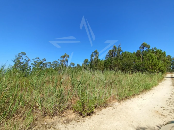 Terreno para Venda em Nossa Senhora do Pópulo, Coto e São Gregório Foto 7