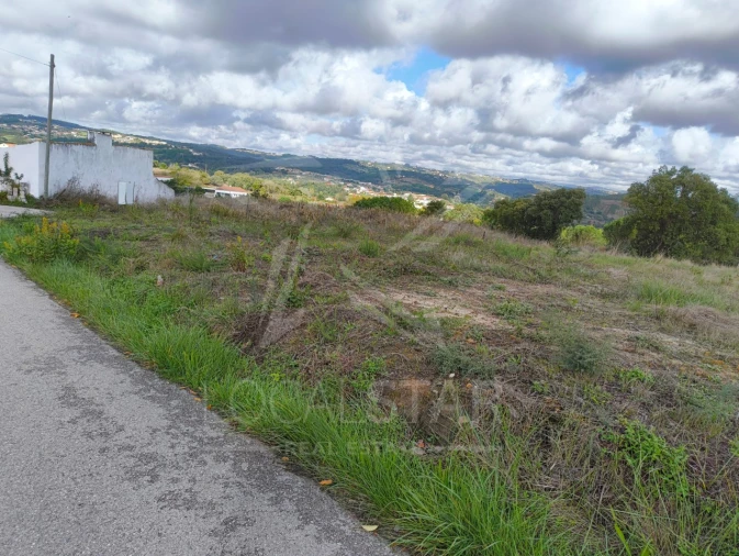 Terreno para Venda em Nossa Senhora do Pópulo, Coto e São Gregório Foto 10