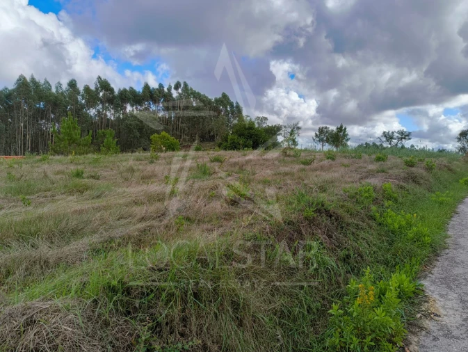 Terreno para Venda em Nossa Senhora do Pópulo, Coto e São Gregório Foto 3