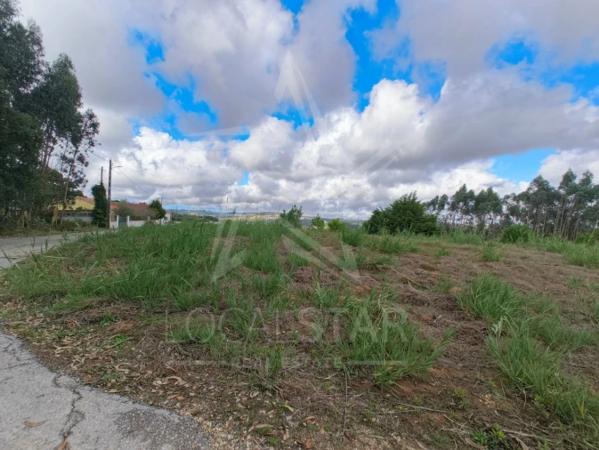 Terreno para Venda em Nossa Senhora do Pópulo, Coto e São Gregório Foto 11