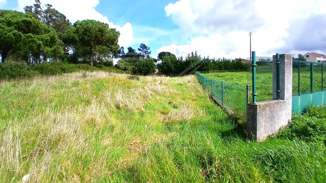 Terreno para Venda em Tornada e Salir do Porto Foto 9