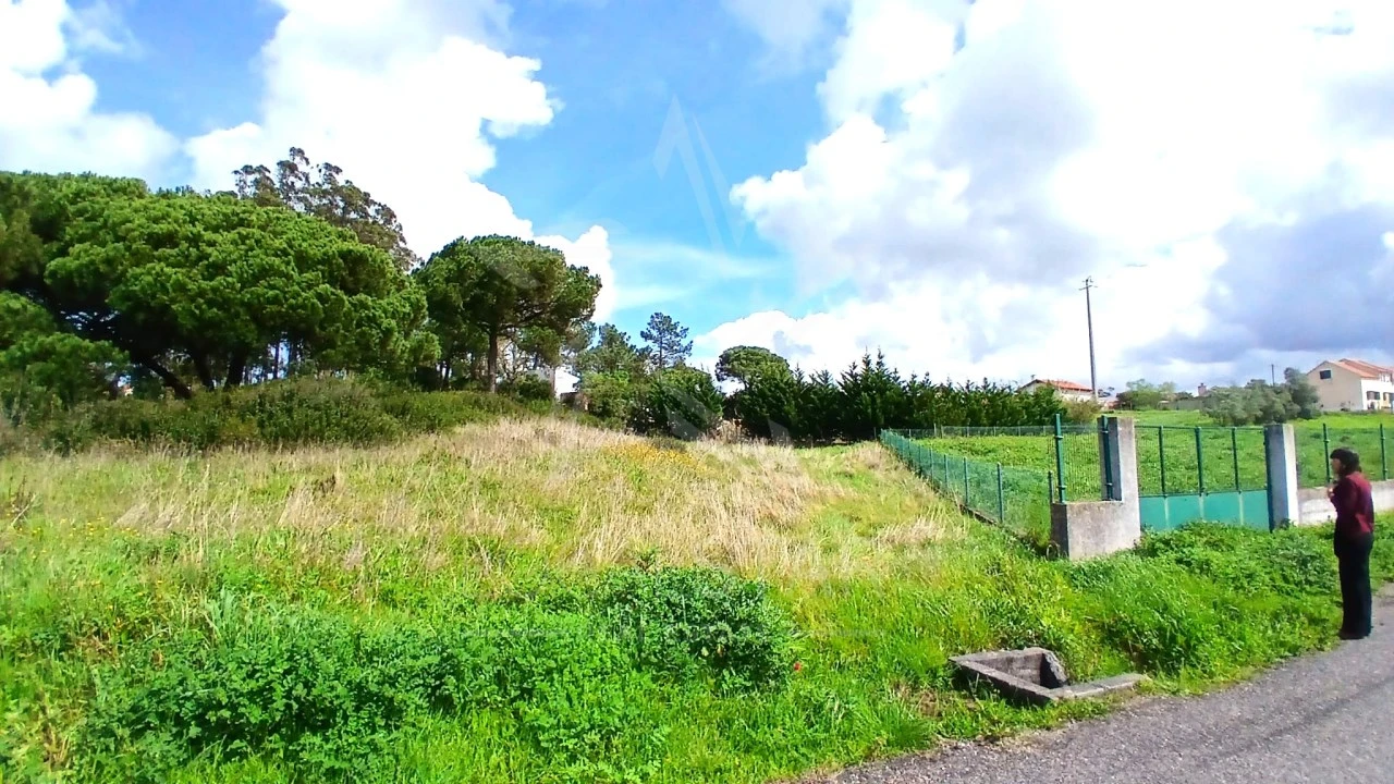Terreno para Venda em Tornada e Salir do Porto Foto 16