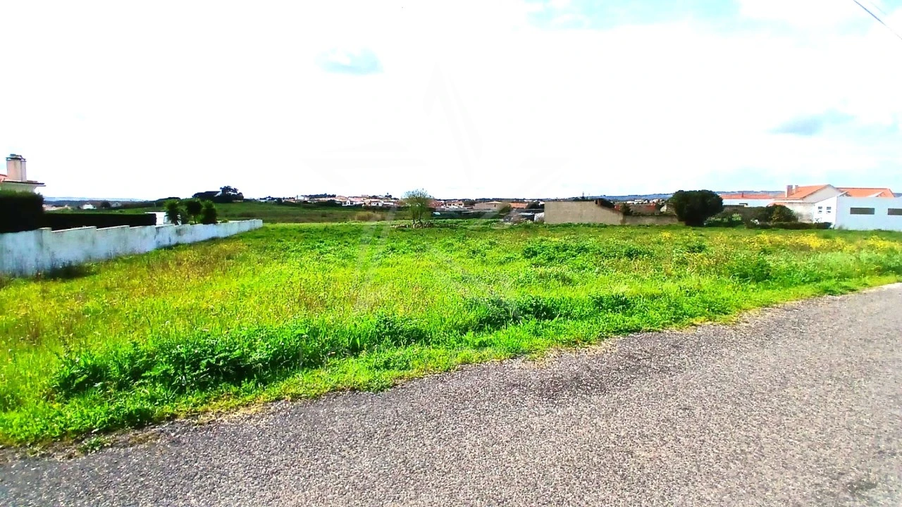Terreno para Venda em Tornada e Salir do Porto Foto 19