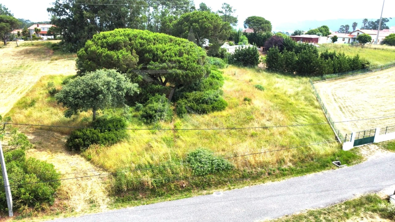 Terreno para Venda em Tornada e Salir do Porto Foto 4
