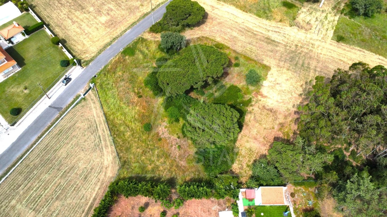Terreno para Venda em Tornada e Salir do Porto Foto 24