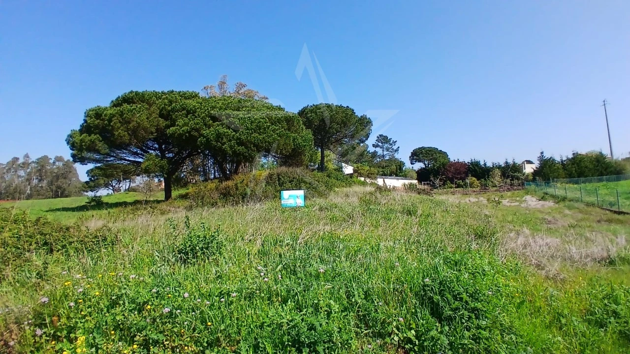 Terreno para Venda em Tornada e Salir do Porto Foto 26