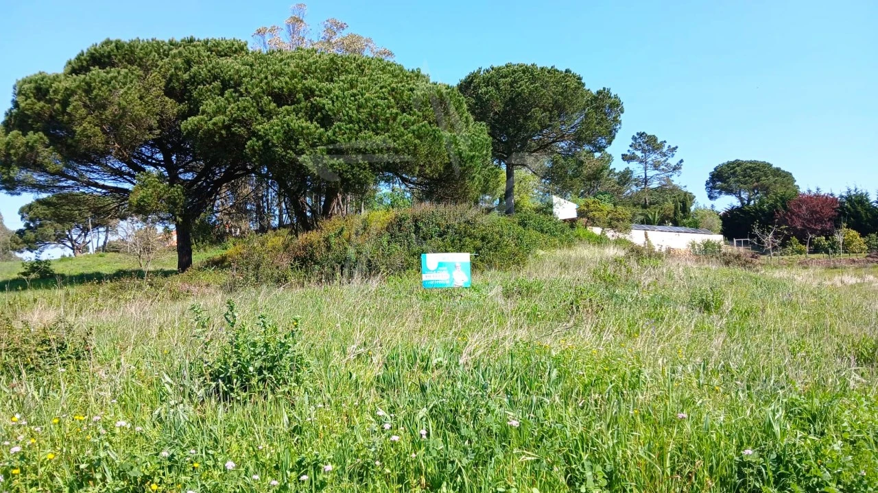 Terreno para Venda em Tornada e Salir do Porto Foto 27
