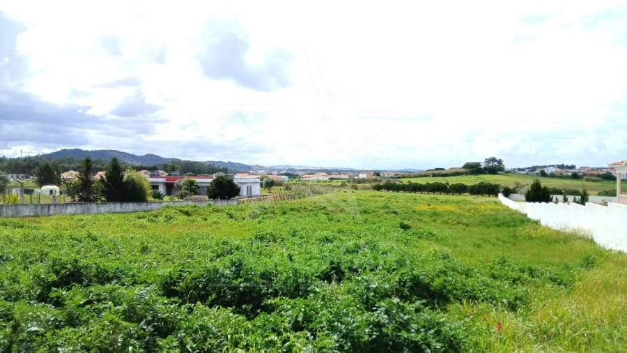 Terreno para Venda em Tornada e Salir do Porto Foto 14