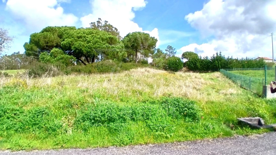 Terreno para Venda em Tornada e Salir do Porto Foto 8