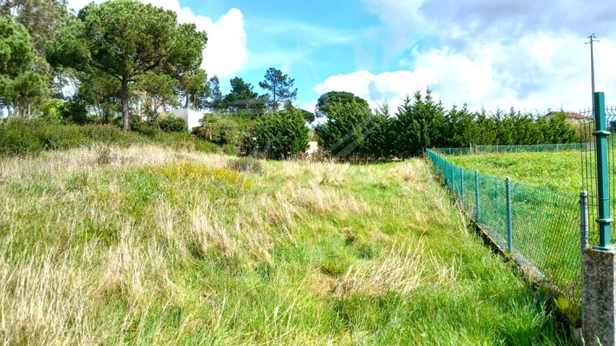 Terreno para Venda em Tornada e Salir do Porto Foto 13