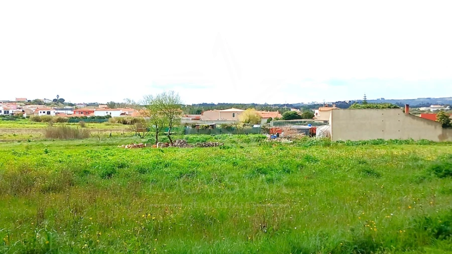 Terreno para Venda em Tornada e Salir do Porto Foto 18