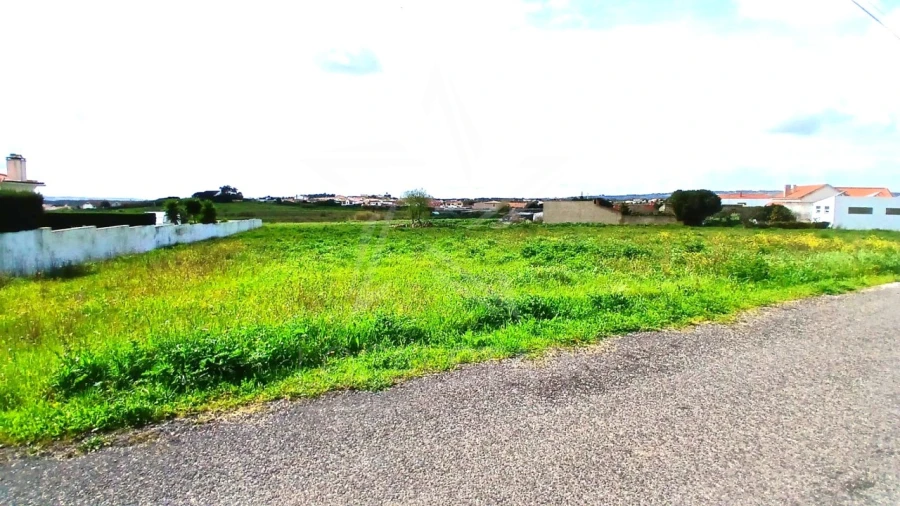 Terreno para Venda em Tornada e Salir do Porto Foto 19