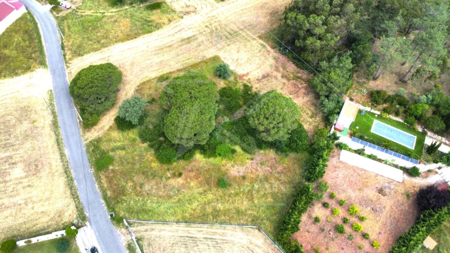 Terreno para Venda em Tornada e Salir do Porto Foto 5