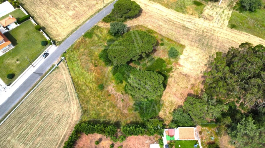 Terreno para Venda em Tornada e Salir do Porto Foto 24