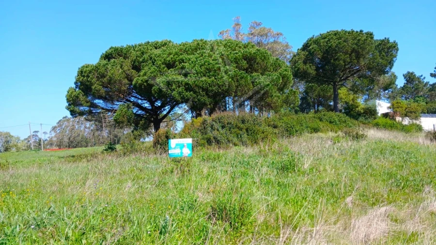 Terreno para Venda em Tornada e Salir do Porto Foto 1