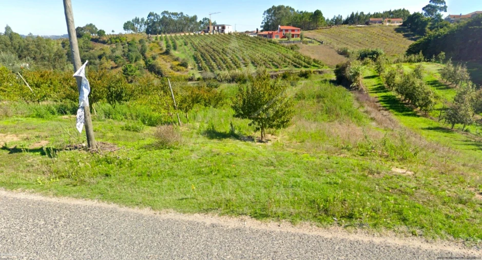 Terreno para Venda em Santa Catarina Foto 9