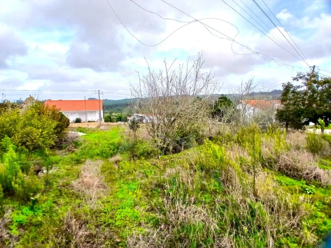 Terreno para Venda em Cela Foto 5