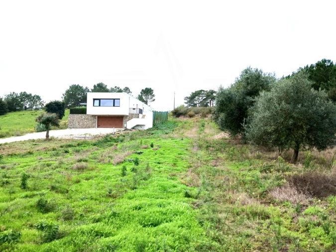 Terreno para Venda em Cela Foto 1
