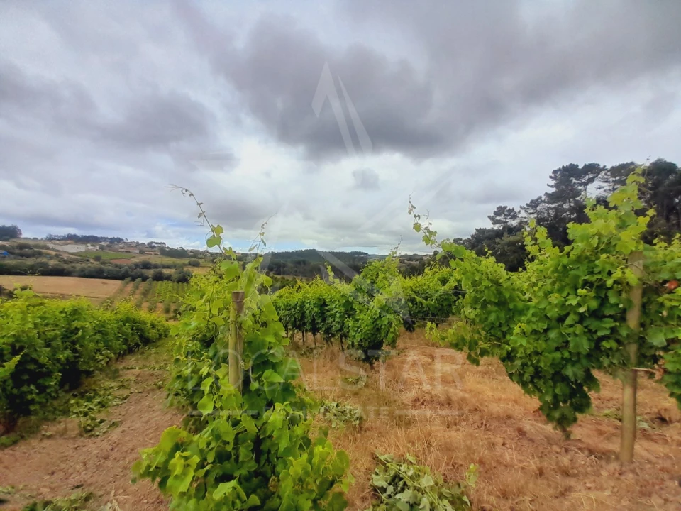 Terreno para Venda em Alvorninha Foto 6