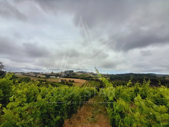 Terreno para Venda em Alvorninha Foto 18