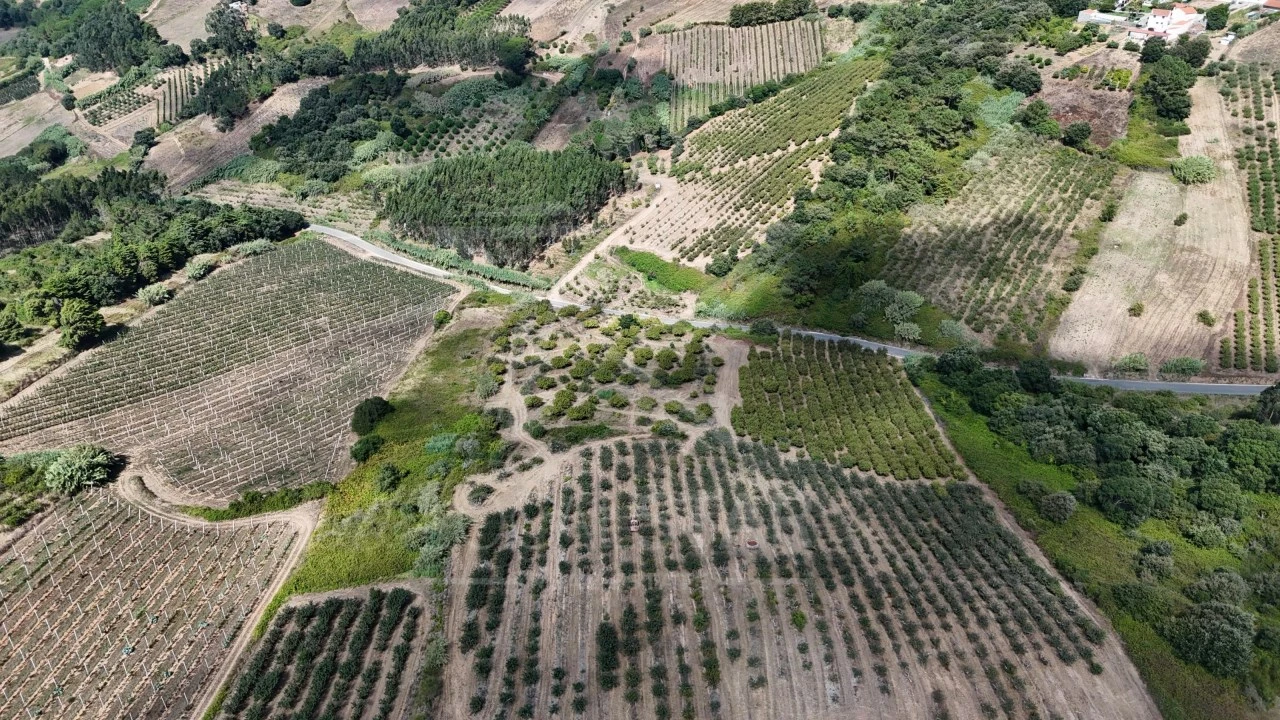 Terreno para Venda em Carvalhal Benfeito Foto 9