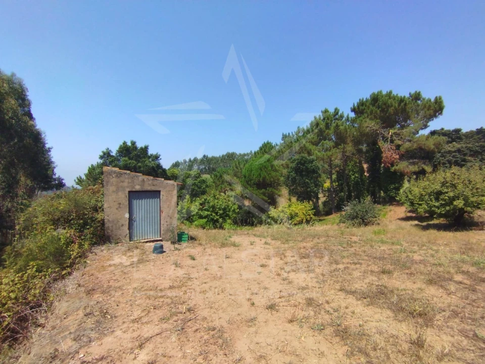 Terreno para Venda em Carvalhal Benfeito Foto 15