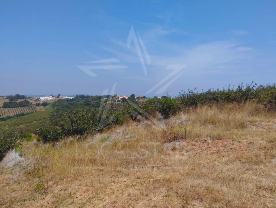 Terreno para Venda em Carvalhal Benfeito Foto 22