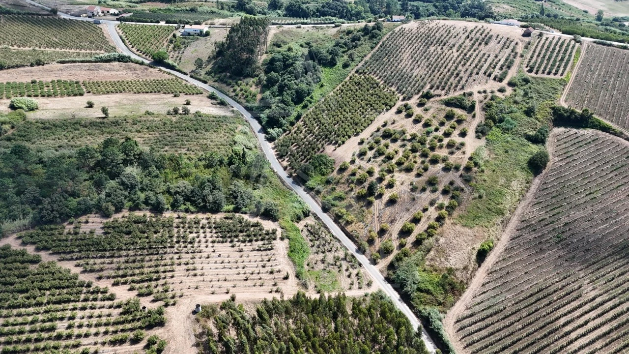 Terreno para Venda em Carvalhal Benfeito Foto 5