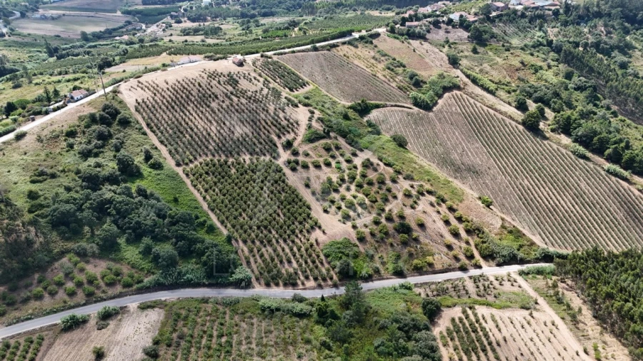 Terreno para Venda em Carvalhal Benfeito Foto 11