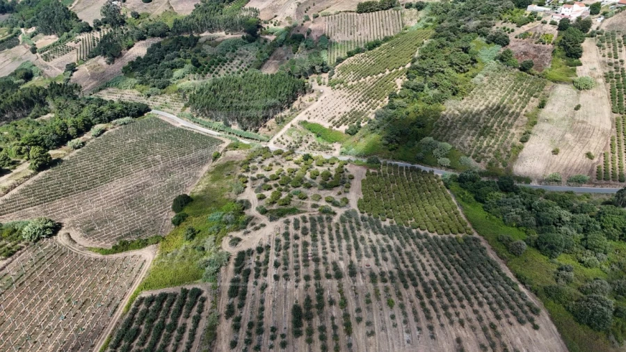 Terreno para Venda em Carvalhal Benfeito Foto 12