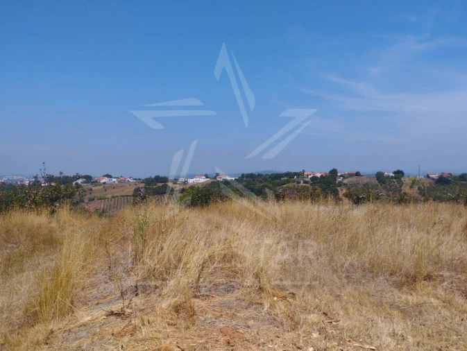 Terreno para Venda em Carvalhal Benfeito Foto 19