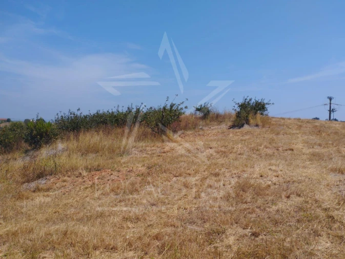 Terreno para Venda em Carvalhal Benfeito Foto 21