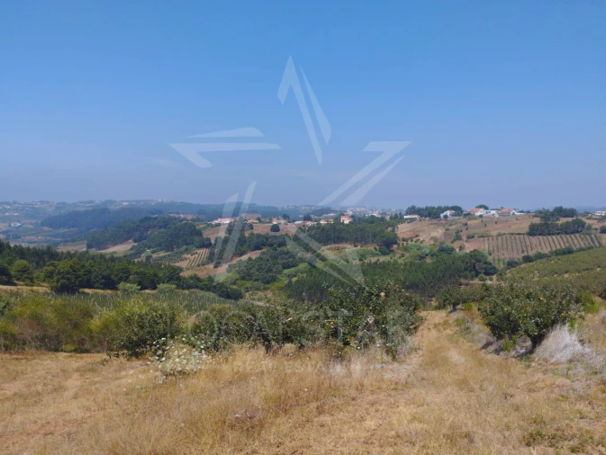 Terreno para Venda em Carvalhal Benfeito Foto 23