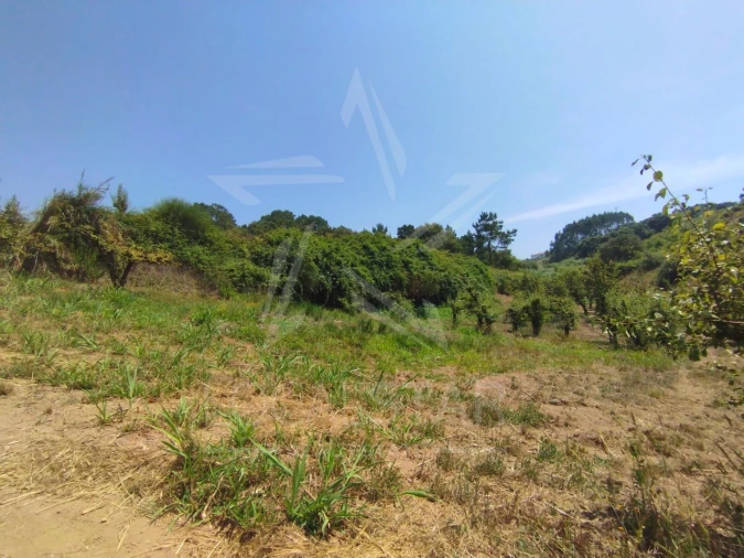 Terreno para Venda em Carvalhal Benfeito Foto 26