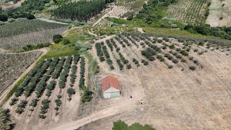 Terreno para Venda em Carvalhal Benfeito