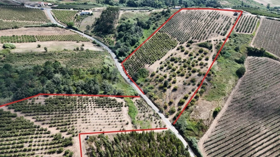 Terreno para Venda em Carvalhal Benfeito