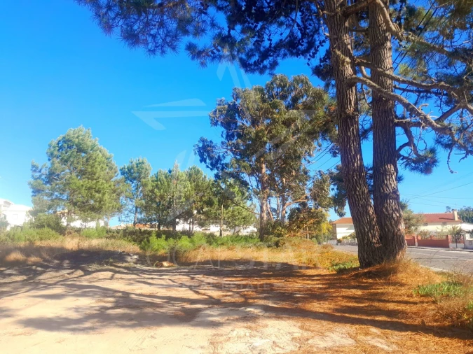 Terreno para Venda em Foz do Arelho Foto 10