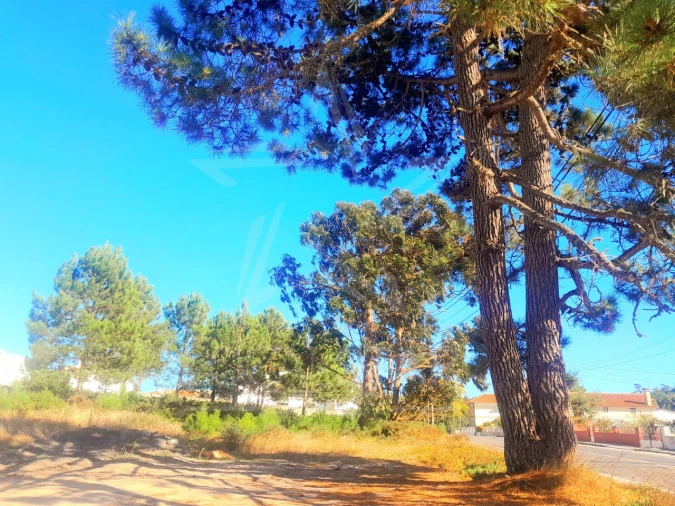 Terreno para Venda em Foz do Arelho Foto 14