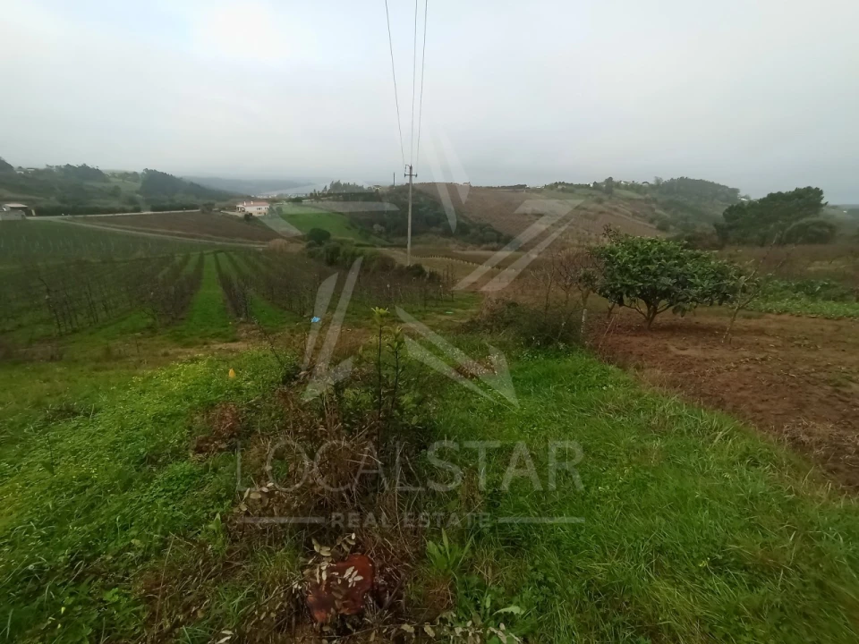 Terreno para Venda em Carvalhal Benfeito Foto 11